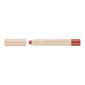Stylo Lèvres Color & Shine